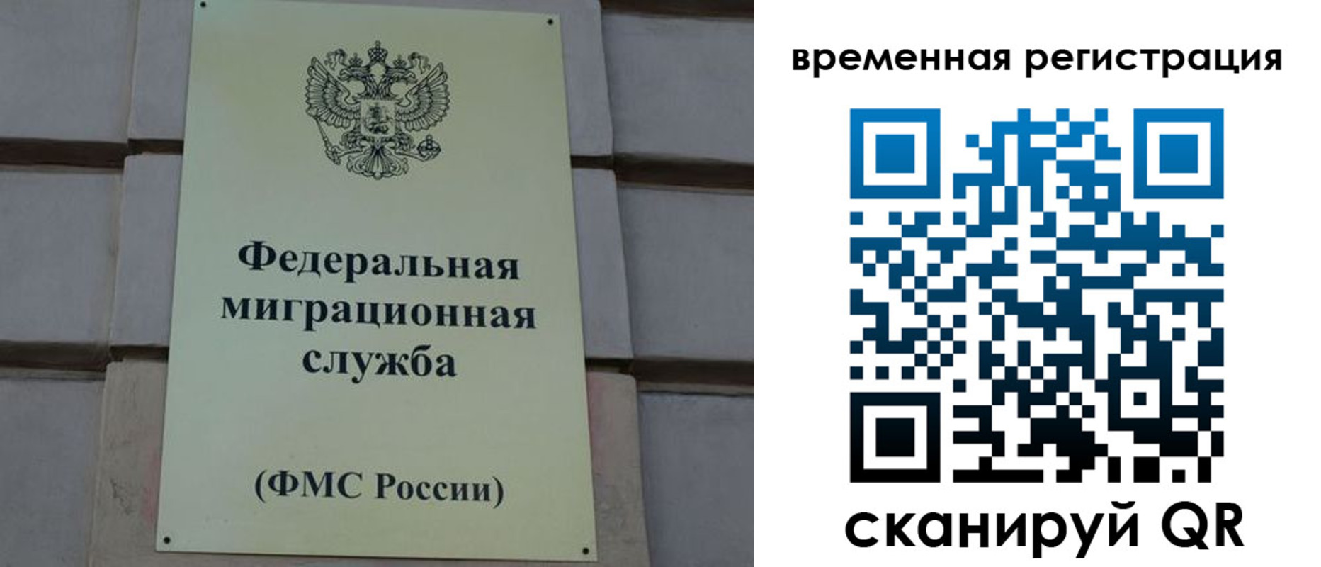 прописка ребенка в Пушкино